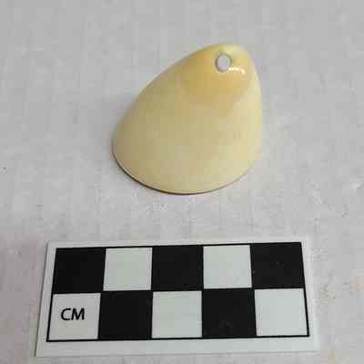 Tusk pendant