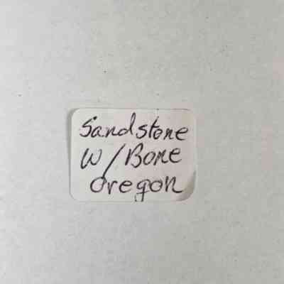 Label attached to object when found