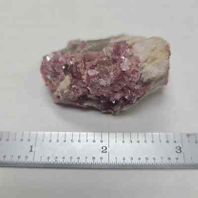 Rose Muscovite