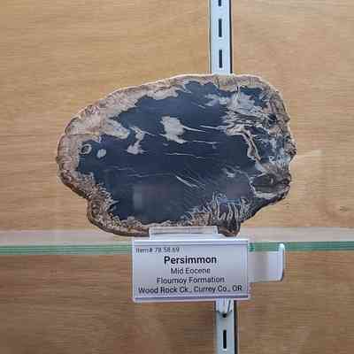Persimmon
