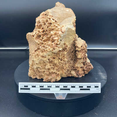 Quartz w/ Calcite Impressions