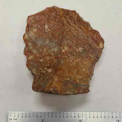Flint Tool Flake