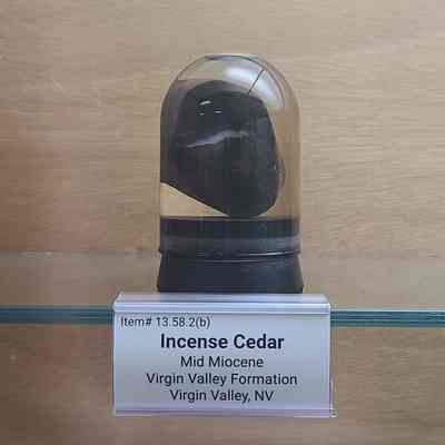 Incense Cedar
