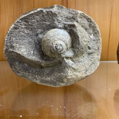 Shell in Matrix