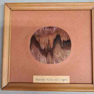 Petrified Wood