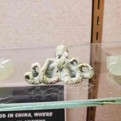 Siberian Nephrite Squid