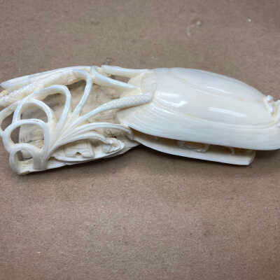 Carved piece (a) Pretreatment with Renaissance Wax