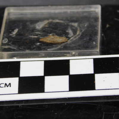 Meteorite