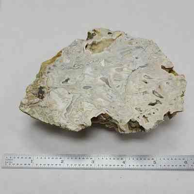 Lace Agate