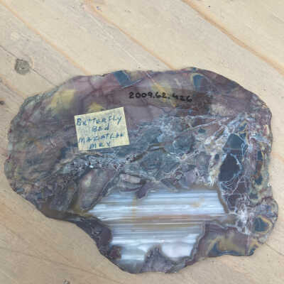 This object is labeled with this accession number and matches the description of the record.