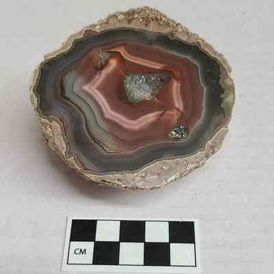 Thunderegg New Mexico