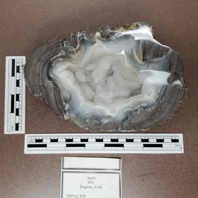 Thunderegg