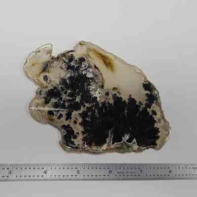Plume Agate slab