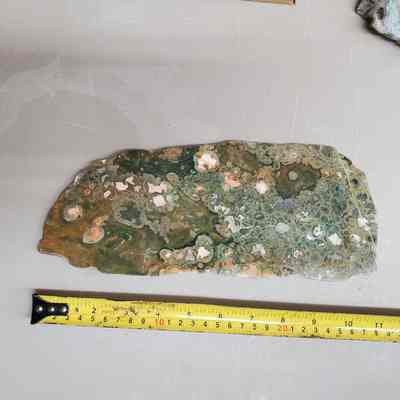 Rainforest Jasper