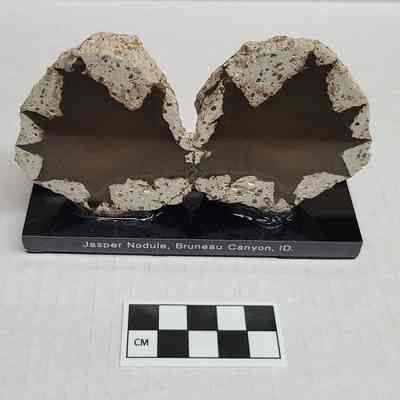 Thunderegg