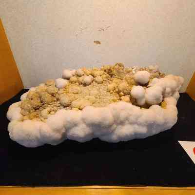 Botryoidal Mangano Calcite on Quartz