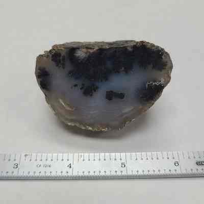 Dendritic Agate