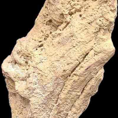 Rhyolite Tuff