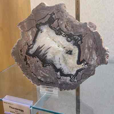 Thunderegg