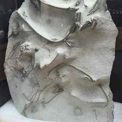Crinoid Plate
