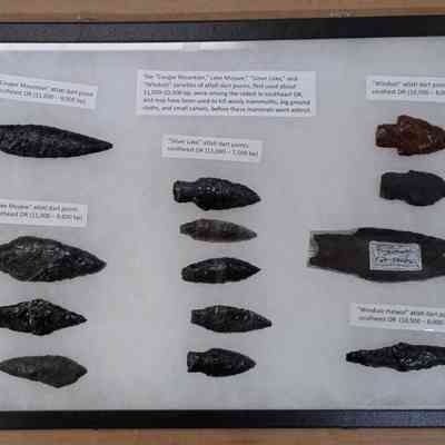 Projectile Point Board