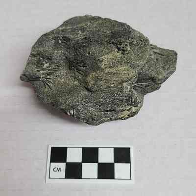 Tourmaline