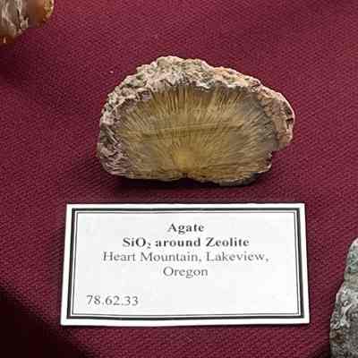 Sagenite Agate