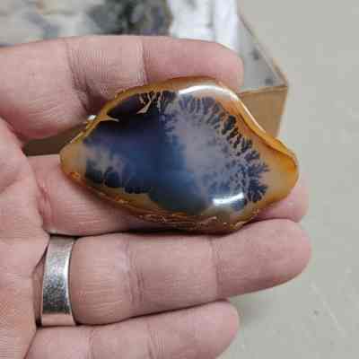 Dendritic Agate