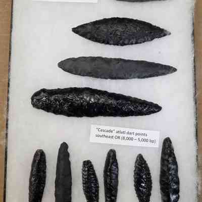 Projectile Point Board