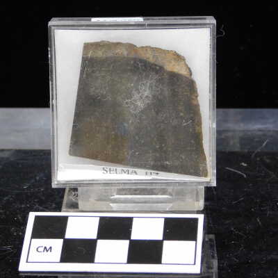 Meteorite Selma H4