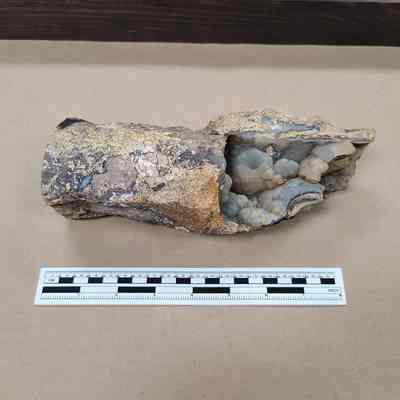 Limb Cast