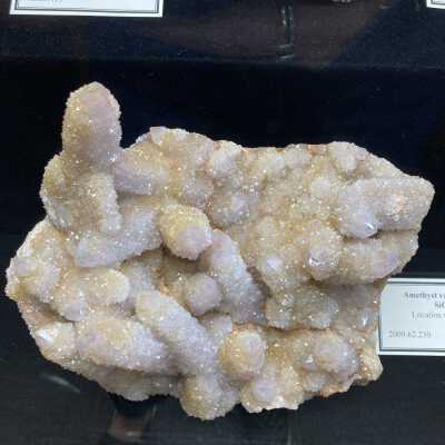 Cactus Amethyst