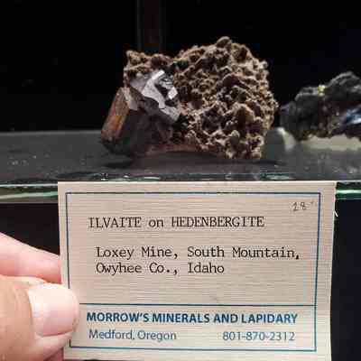 Ilvaite on Hedenbergite