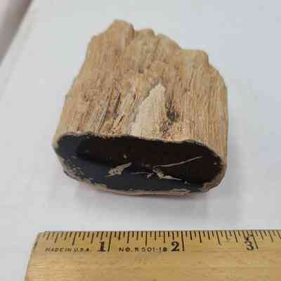 Tropical Hardwood