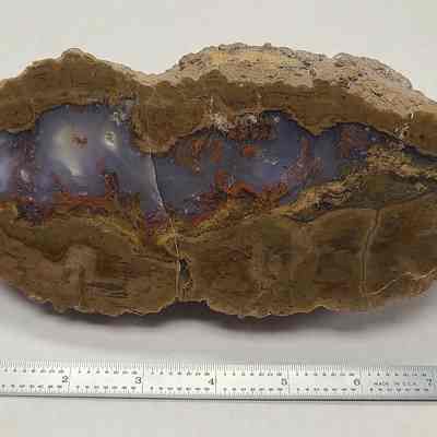 Thunderegg