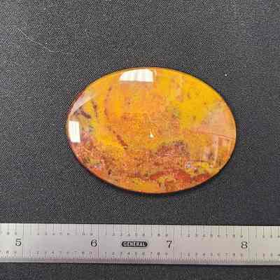 Yellow Cat Jasper