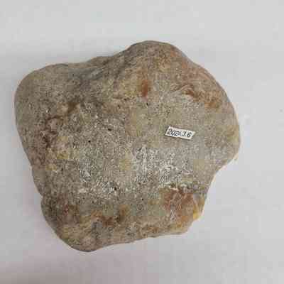 Reverse side