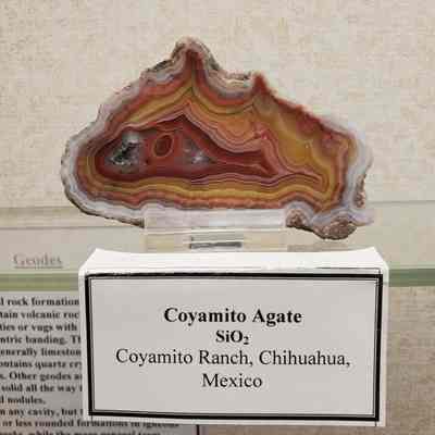 Coyamito Agate