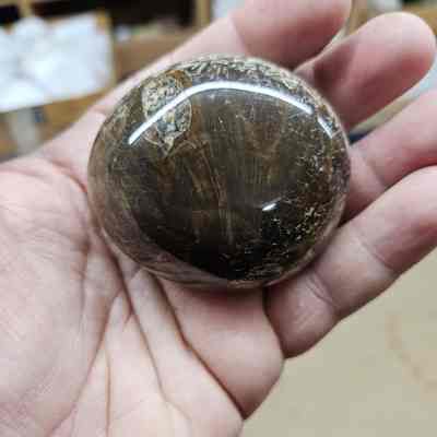 Petrified Wood Gallet