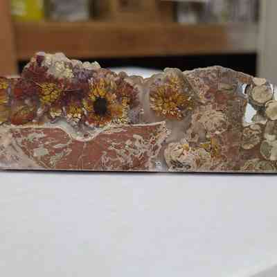 Plume Agate