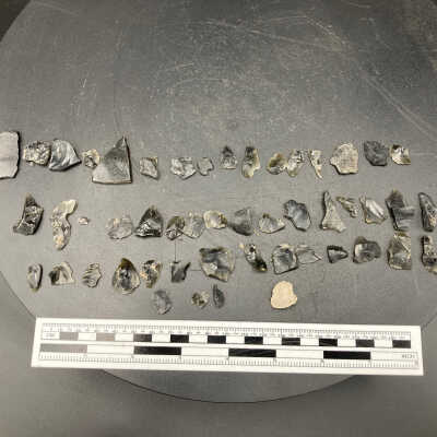 Obsidian tooling flakes