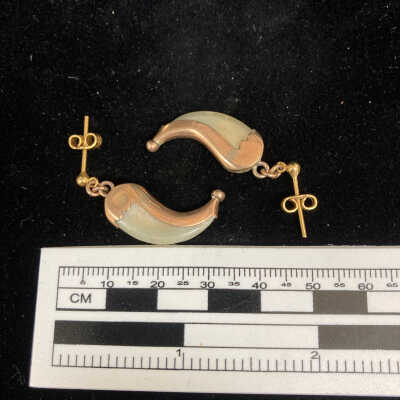 Tiger claw earrings with Brass
