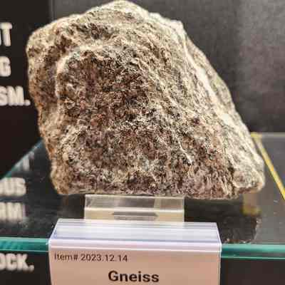 Gneiss