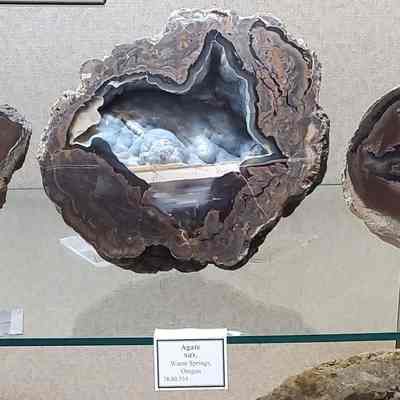Thunderegg