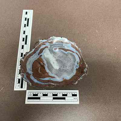 Thunderegg