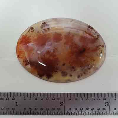 Carey Plume Agate