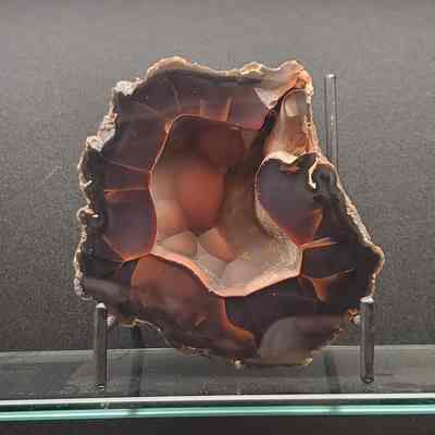 Red Fox Agate