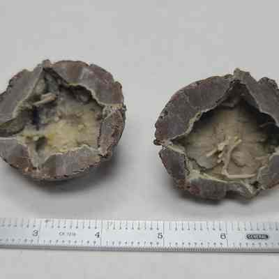 Thunderegg