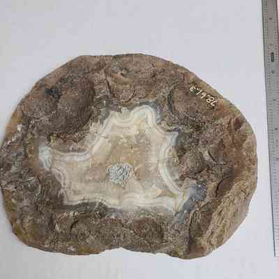 B reverse side - putty-like residue in center