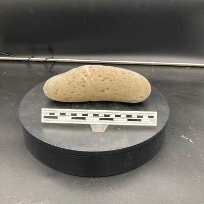 Pestle/Grindstone (?)